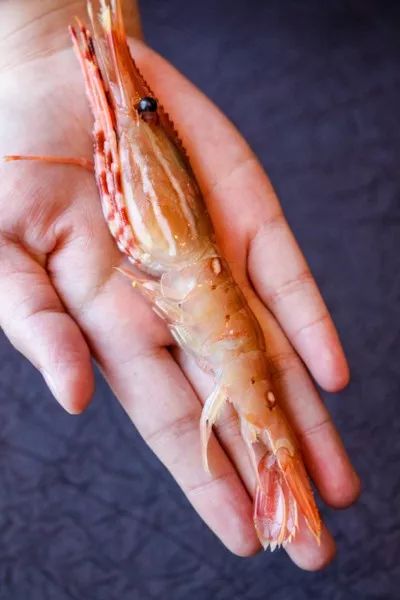 【闪购】148/位 100道日料畅吃竟有牡丹虾！8头鲍、鹅肝带子、鳗鱼蟹宝...午晚市通用！