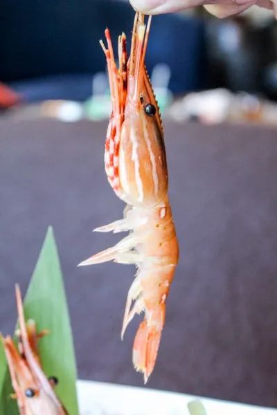 【闪购】148/位 100道日料畅吃竟有牡丹虾！8头鲍、鹅肝带子、鳗鱼蟹宝...午晚市通用！