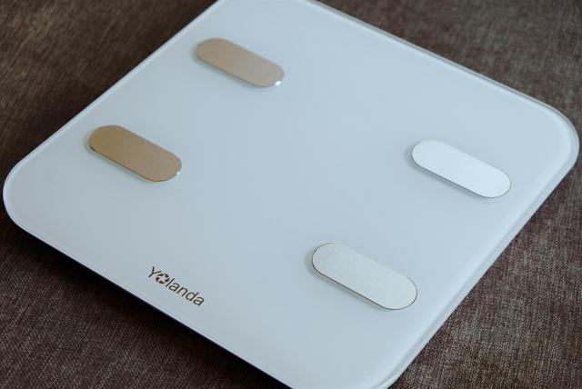 不止称重,还能称心,云康宝智能体脂秤体验