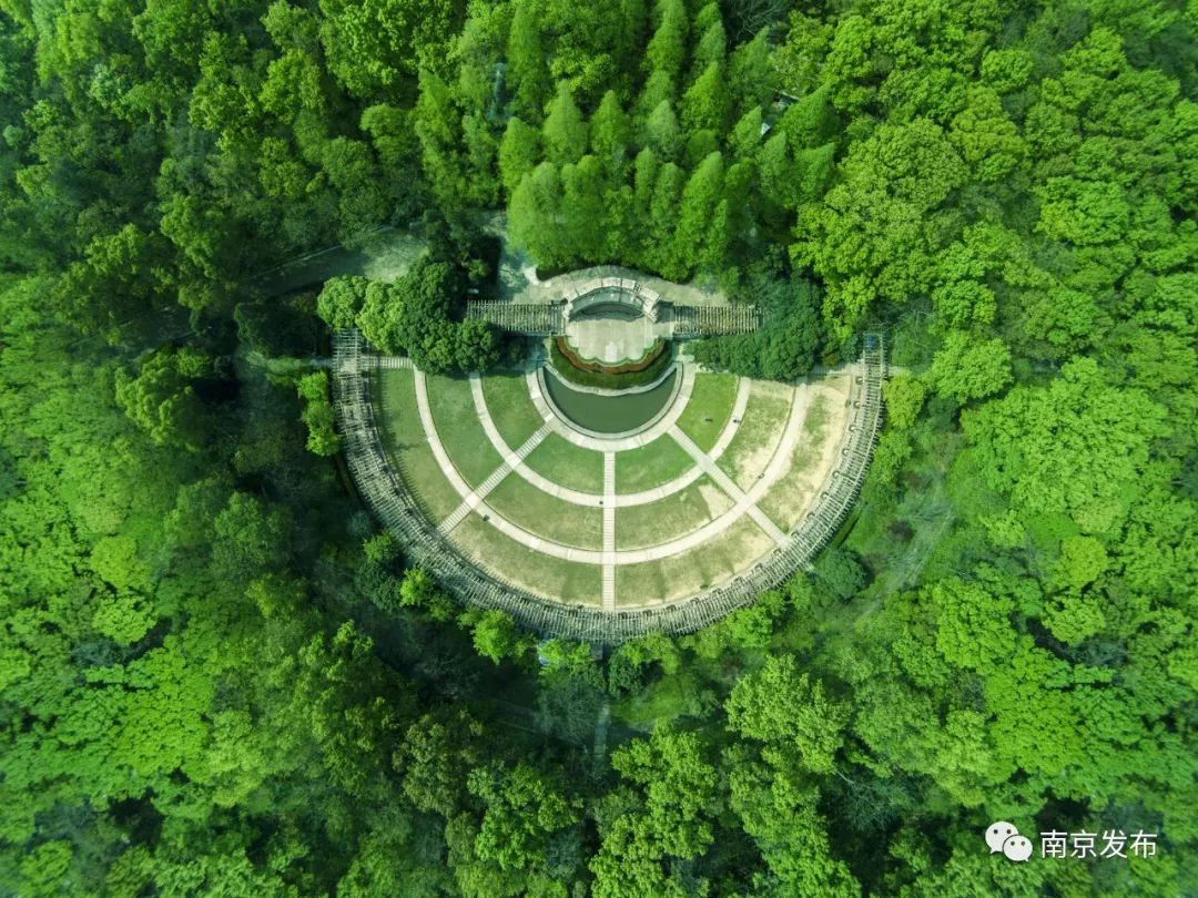 五月，沉醉在初夏的南京