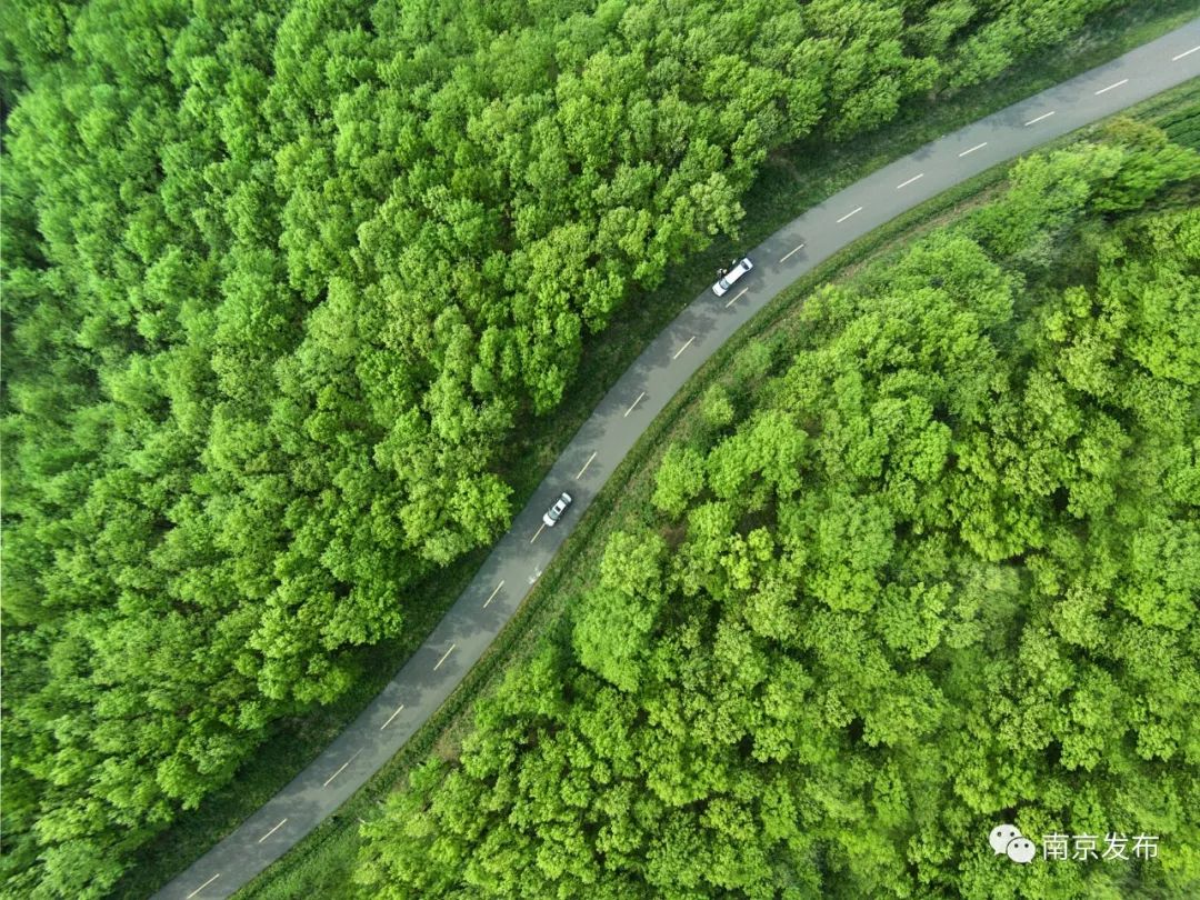 高淳gdp_惊呆了 最新GDP排名,溧水竟排在(3)