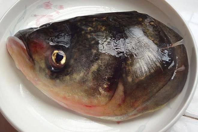 鱼身上哪个部位最好吃？第一筷子先吃这6个部位的，一看就是行家