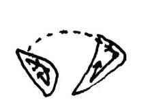 释解《多宝塔碑》