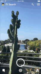 芭芭拉小魔仙，变女装大佬！这个滤镜承包本周笑点