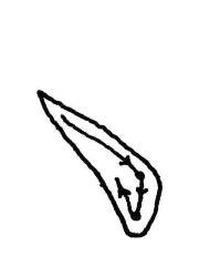 释解《多宝塔碑》