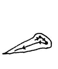 释解《多宝塔碑》