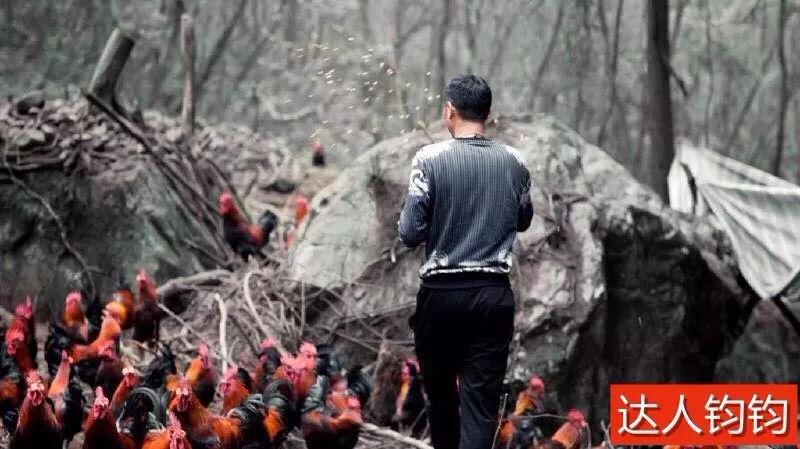 50岁三德子赵亮改行养鸡赚上亿！小16岁超模妻子为他生两个儿子！