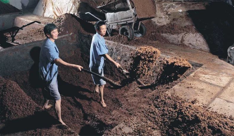 连这口都不喝，是不是不给哥面子！