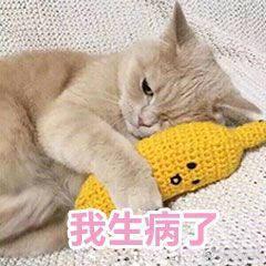 搞笑图片:可爱猫咪的表情包|我的悲伤大概有这么大
