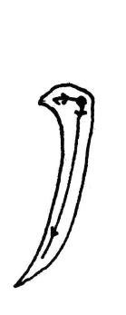 释解《多宝塔碑》