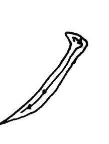 释解《多宝塔碑》