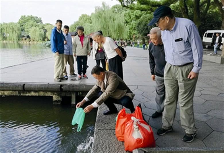 牛蛙60年前被引入我国，被大量养殖后用于餐饮业，但明令禁止放生