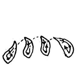 释解《多宝塔碑》