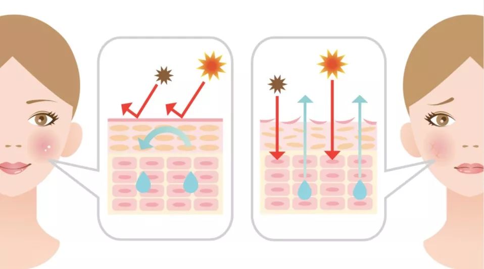 知道这个真相后，皮肤比以前好了太多