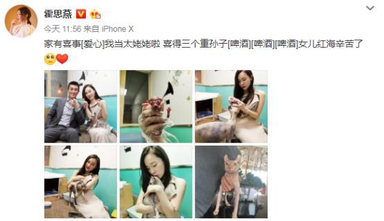 霍思燕现在都当太姥姥了！《妈超》时她家猫下崽，如今崽又生崽啦