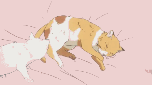 每个中年土豪，都在悄悄吃土