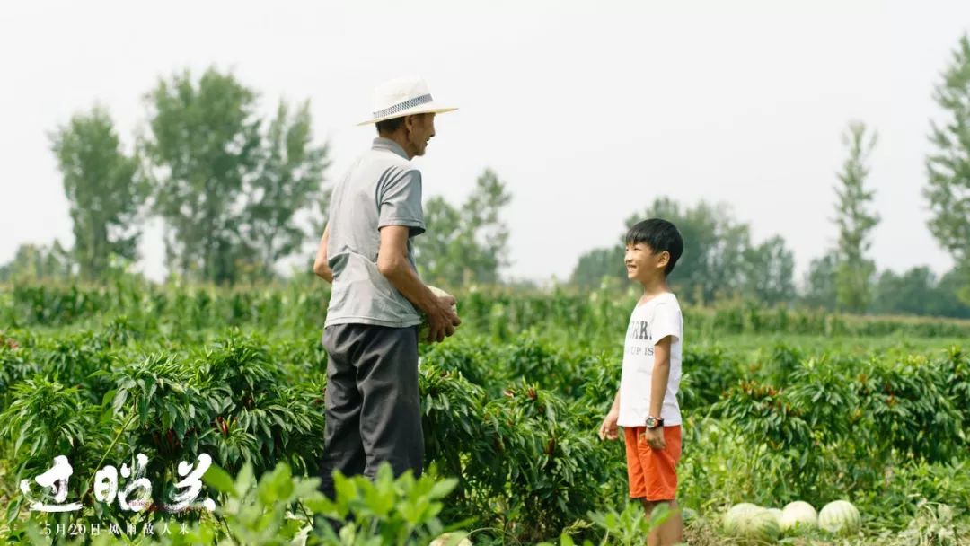 这部华语电影里，有我最温暖的记忆