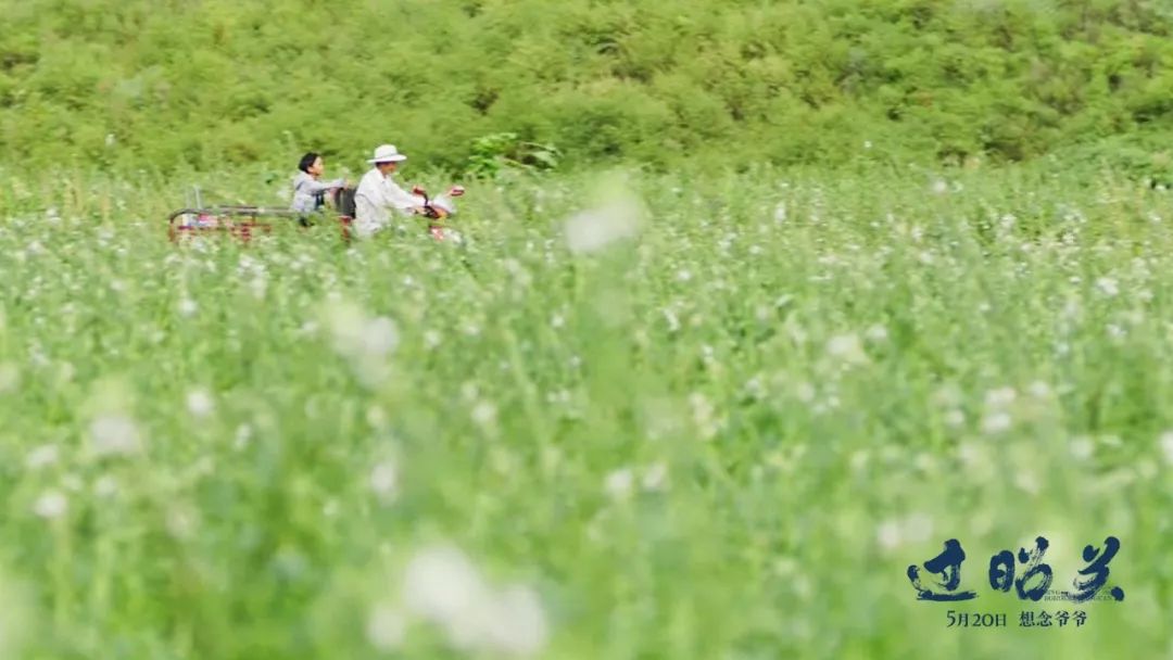 这部华语电影里，有我最温暖的记忆