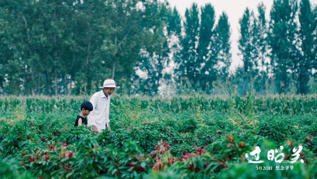 这部华语电影里，有我最温暖的记忆