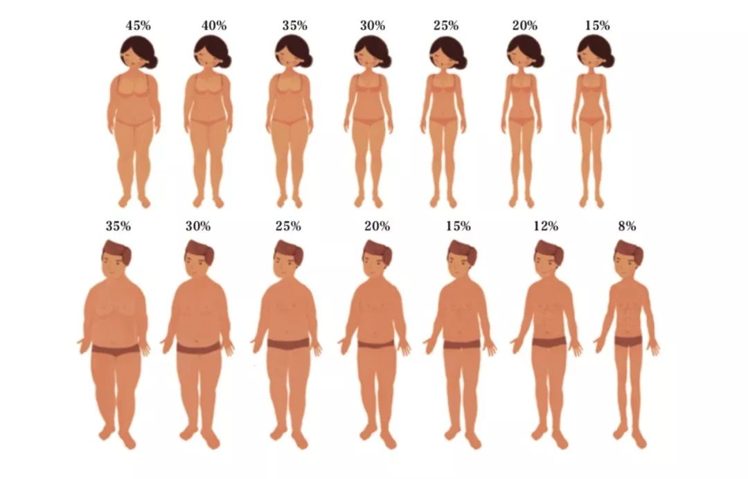 120斤的刘涛身材依然在线？你需要了解一下这则减脂攻略！