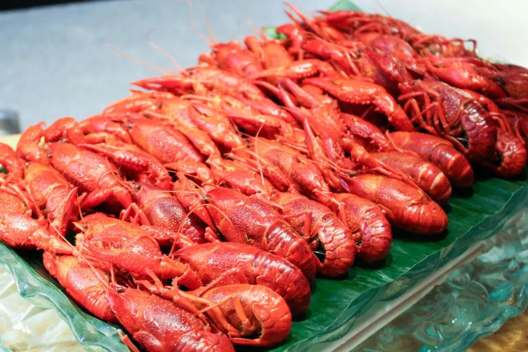 ¥188/位 “露天烧烤 小龙虾”双主题！花园式酒店放大招，6种口味小龙虾轮番刷，青啤、哈根达斯不限量！