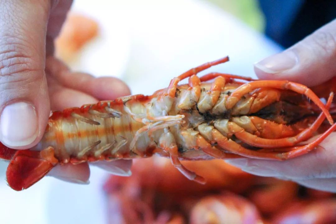 ¥188/位 “露天烧烤 小龙虾”双主题！花园式酒店放大招，6种口味小龙虾轮番刷，青啤、哈根达斯不限量！