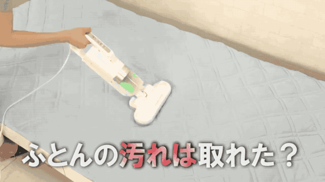 妈呀，每天睡的床竟然有这么脏！