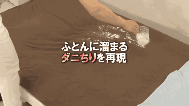 妈呀，每天睡的床竟然有这么脏！