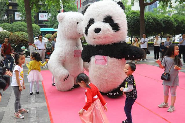 @所有人 520萌宠大熊猫在西安向北极熊表白了
