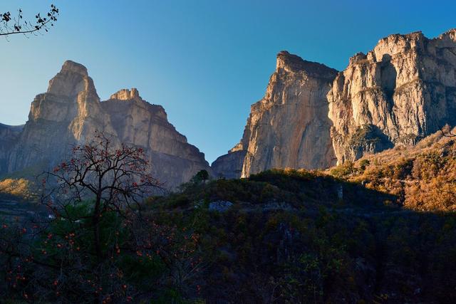 《应物兄》中新儒学大师程济世是作者讽刺的对象还是讴歌的对象? 《应物兄》中新儒学大师程济世是作者讽刺的对象还是讴歌的对象?