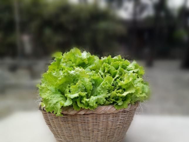 专家建议每人每天一斤蔬菜半斤水果!不爱吃蔬果的小主们如何保证膳食均衡? 专家建议每人每天一斤蔬菜半斤水果!不爱吃蔬果的小主们如何保证膳食均衡?