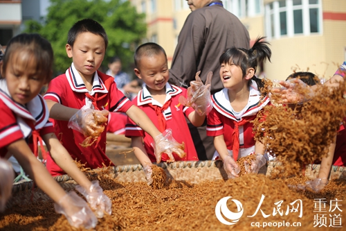 重庆：532所乡村学校少年宫为乡村孩子打造成长乐园