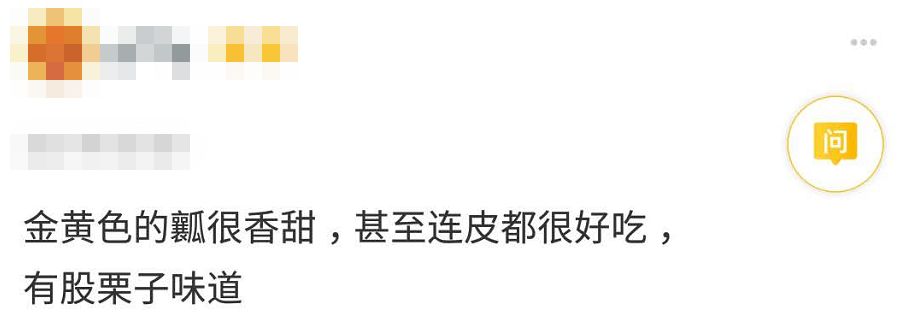 悬疑、破案加反转，这个贝贝南瓜的评价比小说还精彩！| 好物推荐