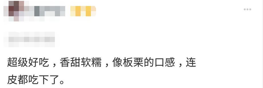 悬疑、破案加反转，这个贝贝南瓜的评价比小说还精彩！| 好物推荐