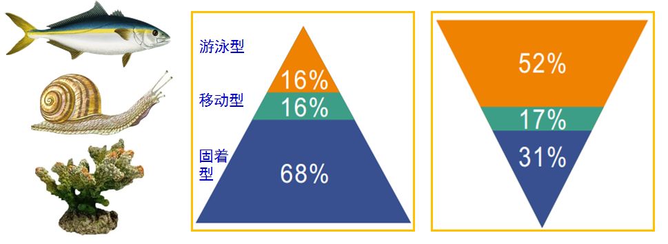 最大的一次生物大灭绝,种级灭绝率可能达到了95% 最大的一次生物大灭绝,种级灭绝率可能达到了95%