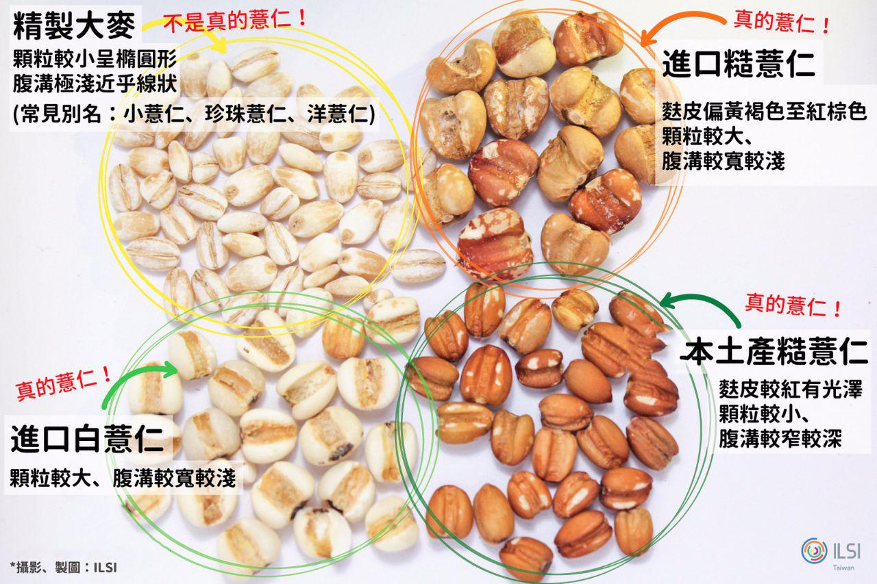 俗称“草珠子”，小时候采摘来做手串，为何如今很少见了？_哔哩哔哩_bilibili