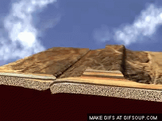 最大的一次生物大灭绝,种级灭绝率可能达到了95% 最大的一次生物大灭绝,种级灭绝率可能达到了95%