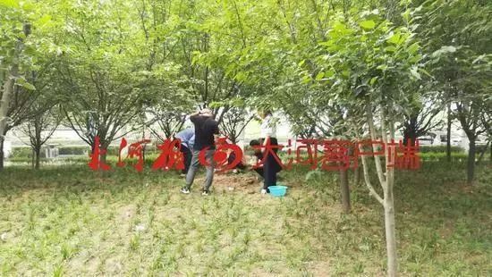 反转！周口男婴丢失事件，系女方自导自演