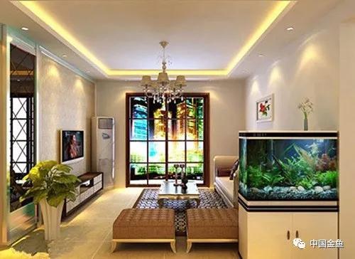 夏天来了，必须要知道的给鱼缸降温的15个绝招！