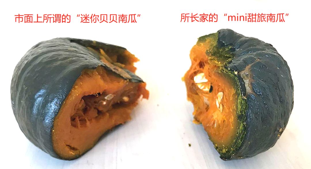 悬疑、破案加反转，这个贝贝南瓜的评价比小说还精彩！| 好物推荐