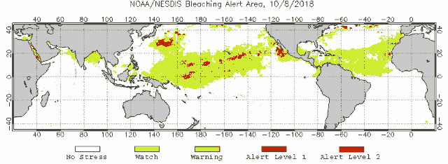 最大的一次生物大灭绝,种级灭绝率可能达到了95% 最大的一次生物大灭绝,种级灭绝率可能达到了95%