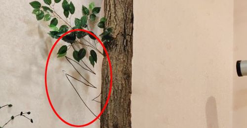 没事儿千万不要自己给孩子理发，不然哈哈哈哈哈哈哈