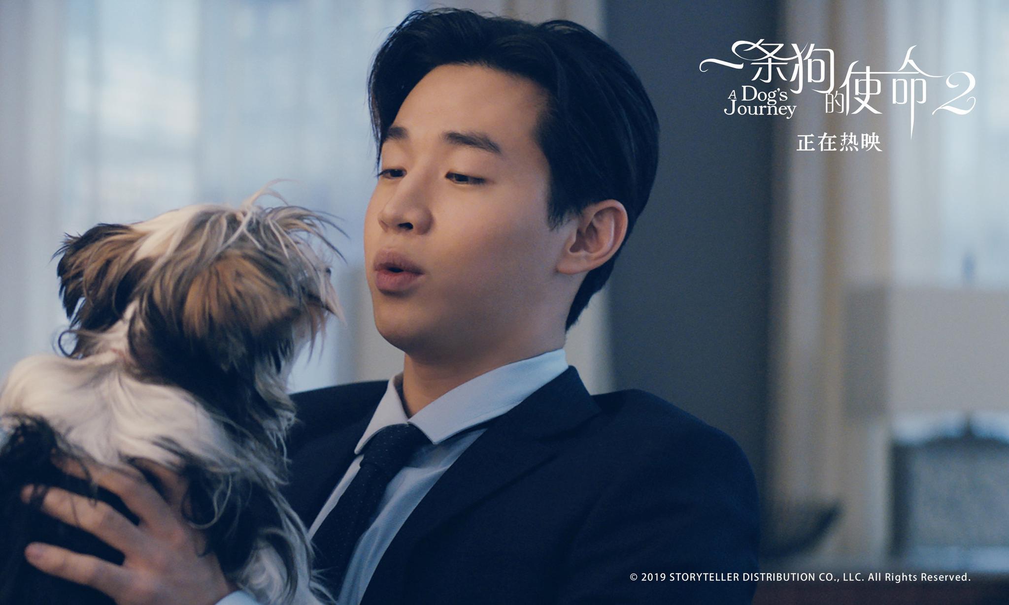 《一条狗的使命2》：狗狗拯救人类，而他拯救爱情