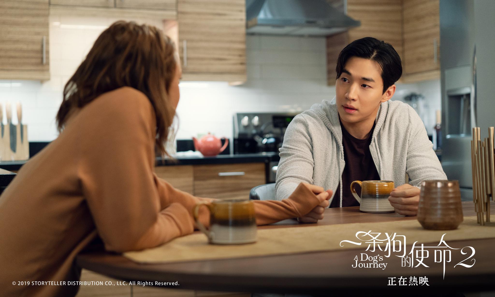 《一条狗的使命2》：狗狗拯救人类，而他拯救爱情