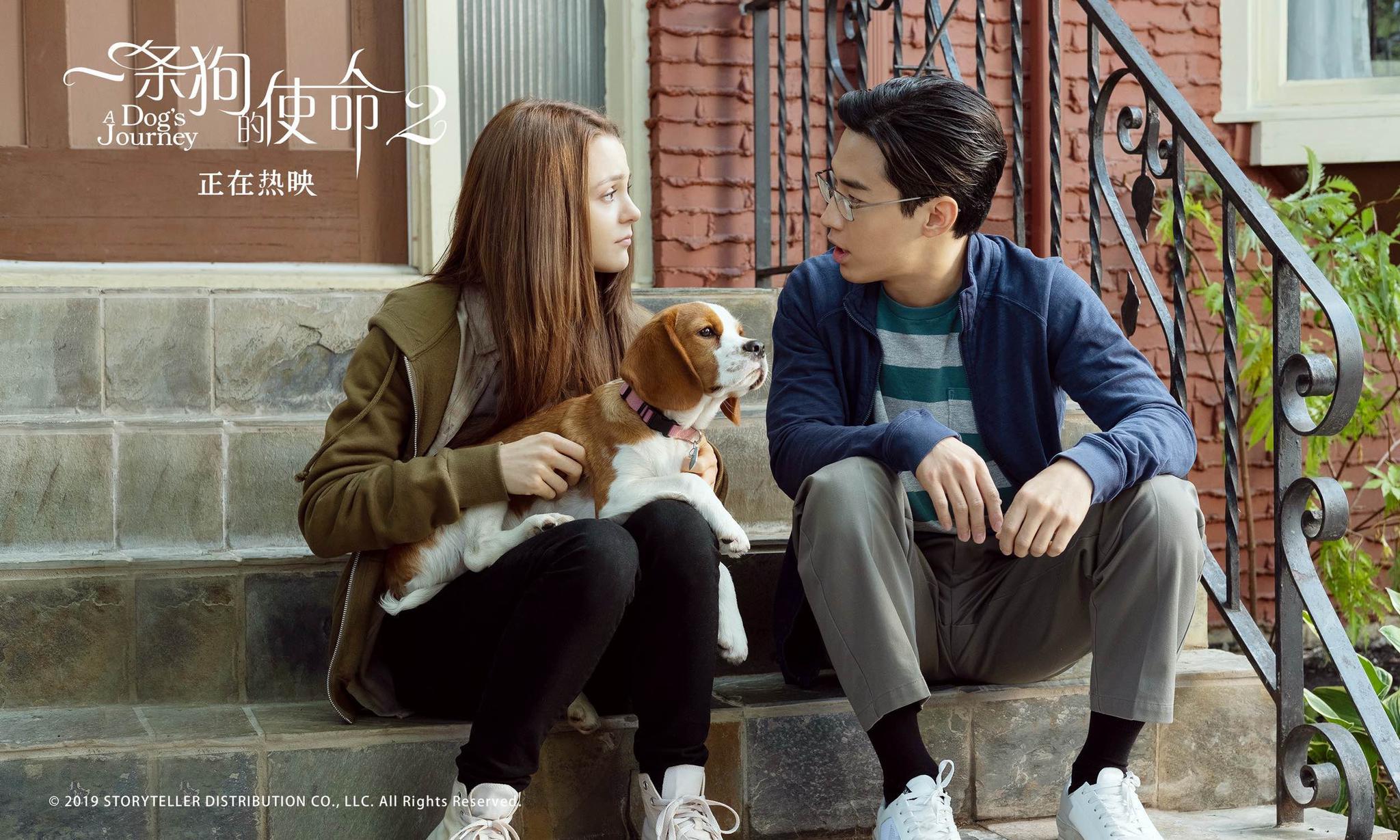 《一条狗的使命2》：狗狗拯救人类，而他拯救爱情