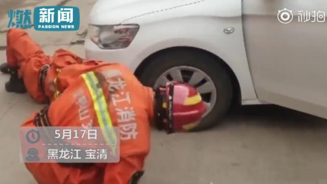 消防应求帮抓蛇 反被车主要求修车：弄坏了雨刮器