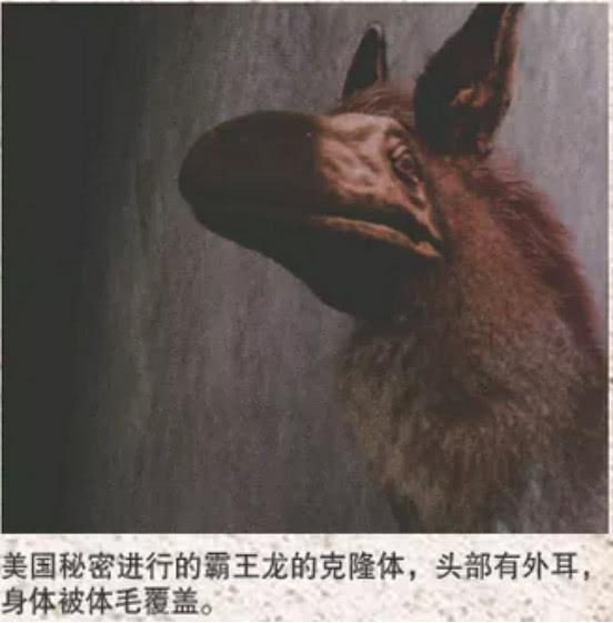 原来人类一直对恐龙抱有误解，新型假说诞生，恐龙其实是哺乳动物