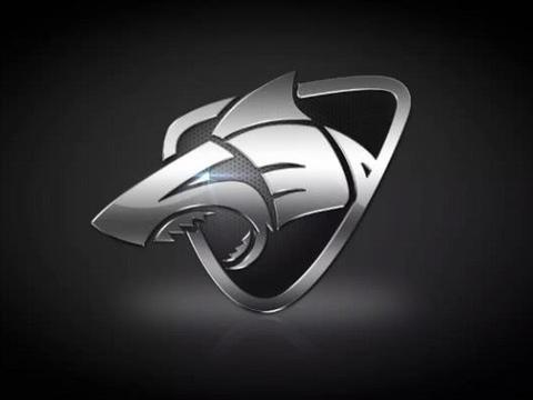 换标最成功的4大中国车企，一个比一个帅，比亚迪也终于换标了！