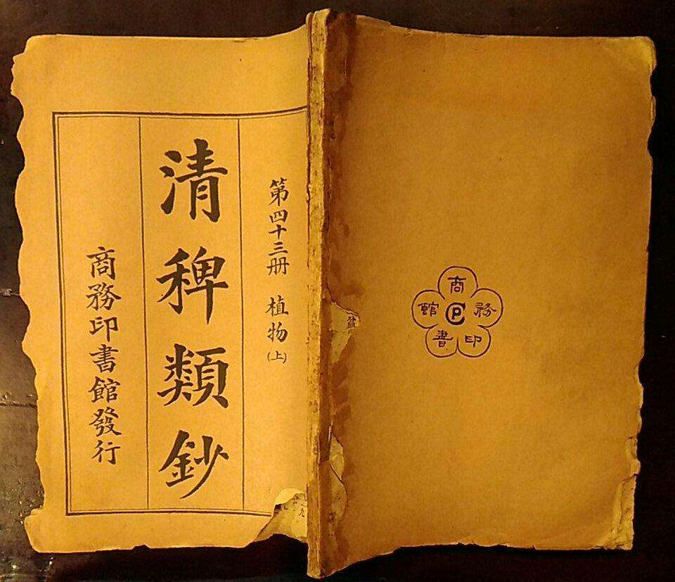入洞房简谱_入洞房 民乐类 竹笛(2)