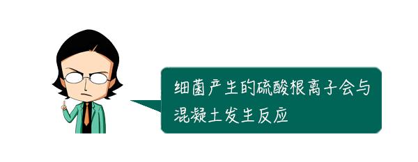 揭秘 | 为什么半夜楼上总有弹珠掉地上的声音？答案令人惊讶…